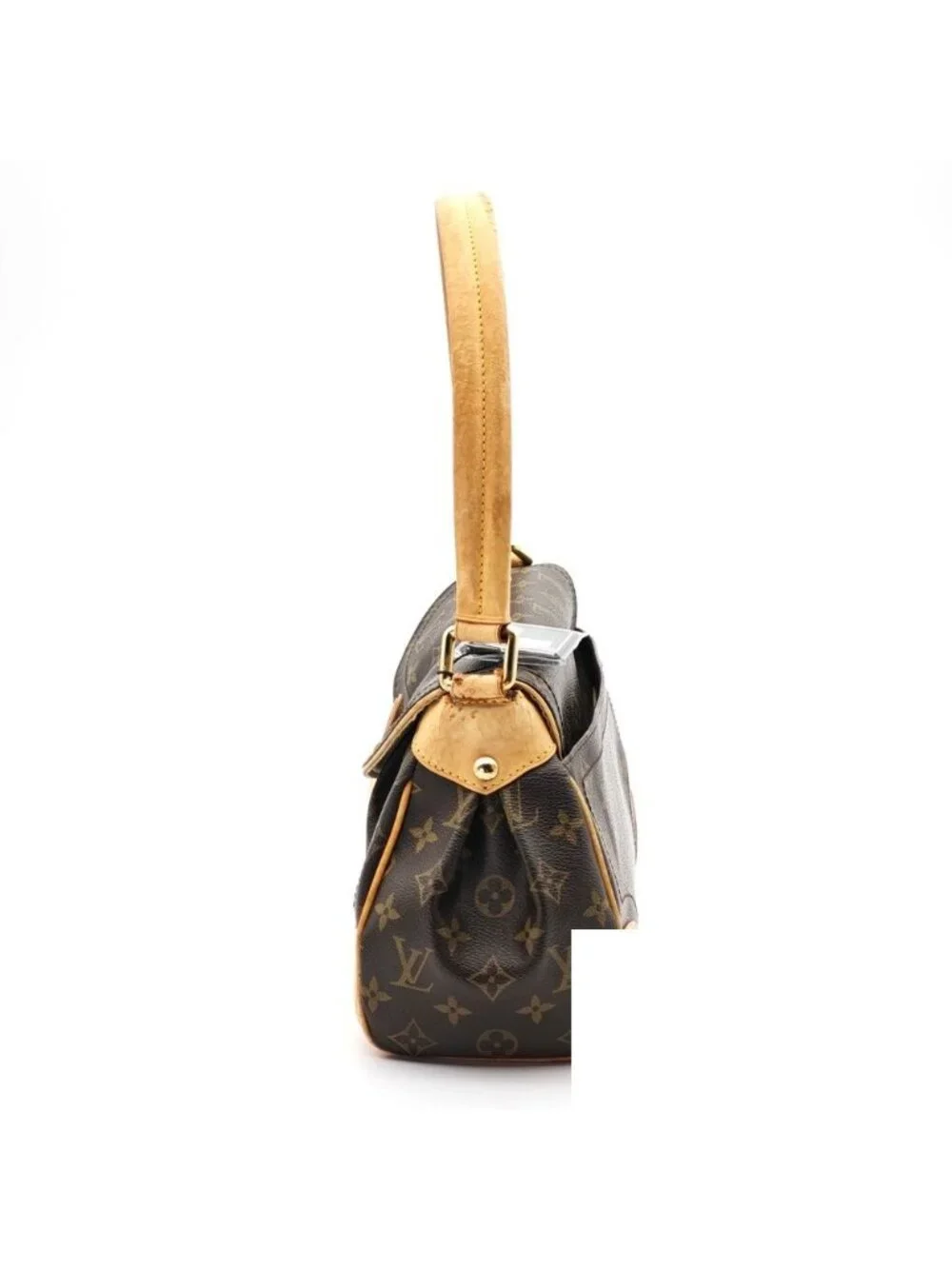 Louis Vuitton brand louis